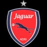 Ягуар U20