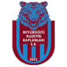 Бейликдюзю Кузейин Капланлары СК