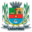 Селесау де Карапебус U14