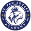 СК Про Соккер Академи U18