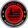 ФлаПалмас U14