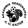 АО Кастор
