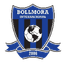 Боллмора Интер ИКФ