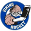 ХК Викинг Хоки
