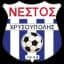 Нестос Хрисуполис U19