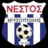 Нестос Хрисуполис U19