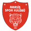 Амасиспор U17
