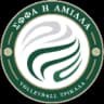 СФФА Амилла