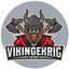 Vikingekrig Esports