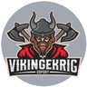 Vikingekrig Esports