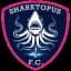 Шарктапус ФК