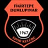 Фикиртепе Думлупынар