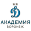 ФА Динамо Воронеж
