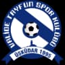 ФК Валиде Тайфунспор