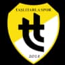 Ташлытарласор