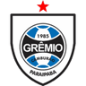 Гремио Камбурон ФК