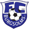 ФК Бургзольмс U19