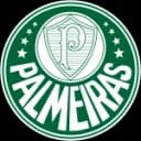 С.Э. Палмейрас U15