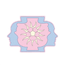 Вирджиния Дрим ФК 2