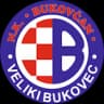 НК Буковчан Великий Буковец