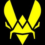 Vitality.Bee