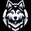 Huskies eSport