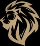 LYON Academy
