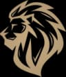 LYON Academy