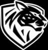 Ilbirs eSports
