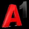 A1