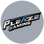Pleaze Gaming