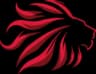 TEAM ASCEND