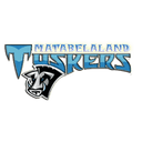 Матабелеланд Таскерс