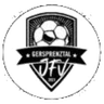 ЙФВ Гершпренцталь U19