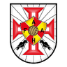 АФ Ангра ду Эроизму U14