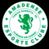 Амаденсе ЭК U20