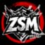 ZSM
