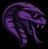 Team Cobra