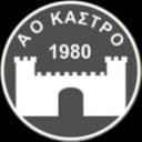 АО Кастру