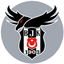 Beşiktaş Esports