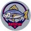 project telstar