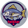 project telstar