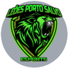 Leoes Porto Salvo Esports