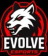 Evolve eSports