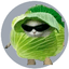 Lechuga Gaming