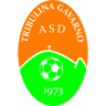 Трибулина Гаварно 1973