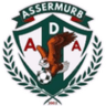 Ассермурб U17