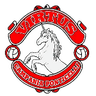 ФК Виртус Кампания Понтичелли