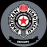 Partizan Esports
