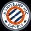 MHSC Esport